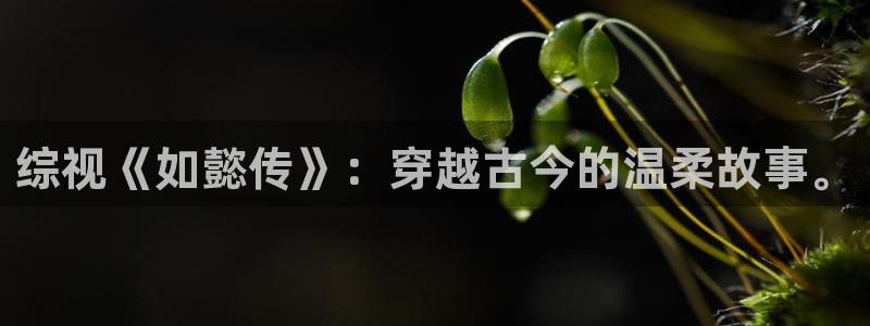 迅播影院播放器下载：综视《如懿传》：穿越古今的温柔故事。