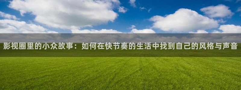迅播影院迅播成人理论片：影视圈里的小众故事：如何在快节奏的生活中找到自己的风格与声音
