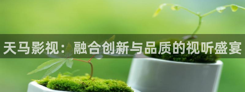 迅播影院绿色皇宫：天马影视：融合创新与品质的视听盛宴