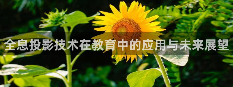 迅播影院播放器下载：全息投影技术在教育中的应用与未来展望