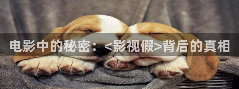 迅播影院迅播成人理论片：电影中的秘密：<影视假>背后的真相